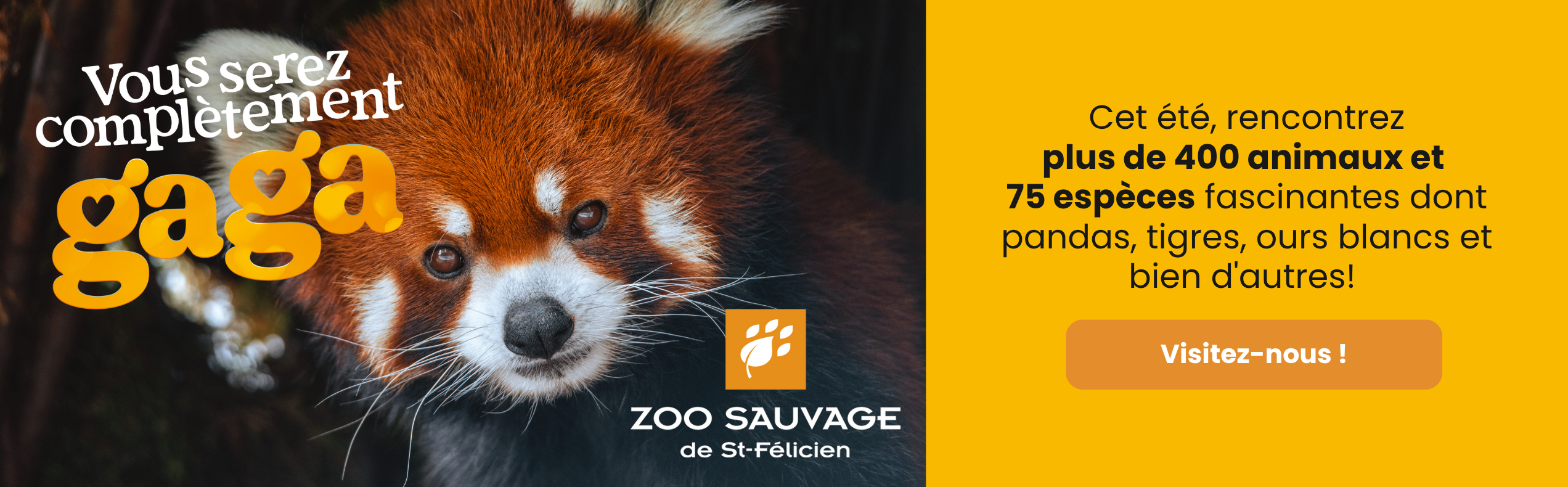 2544x790px - quoifaire