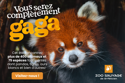 414x275px-quoifaire
